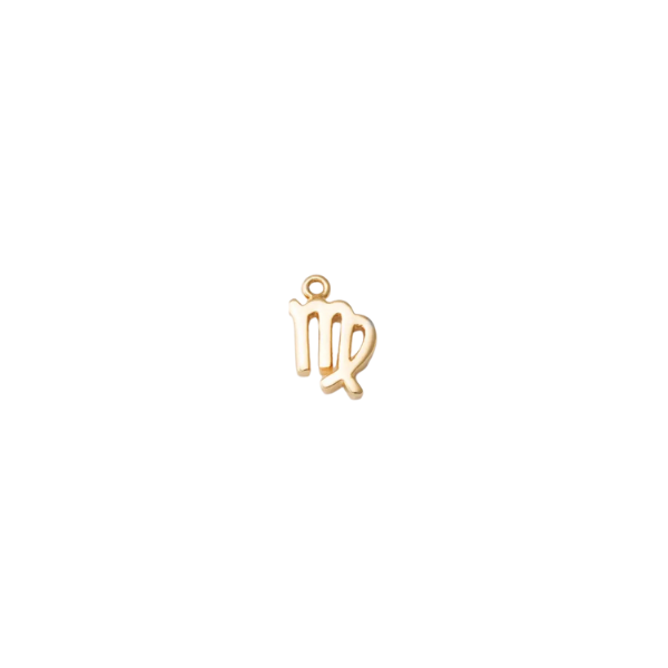 Mini Zodiac Sign Charm Collection
