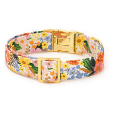 Rifle Paper Co. x TFD Marguerite Dog Collar