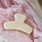 Mini French Claw Clips