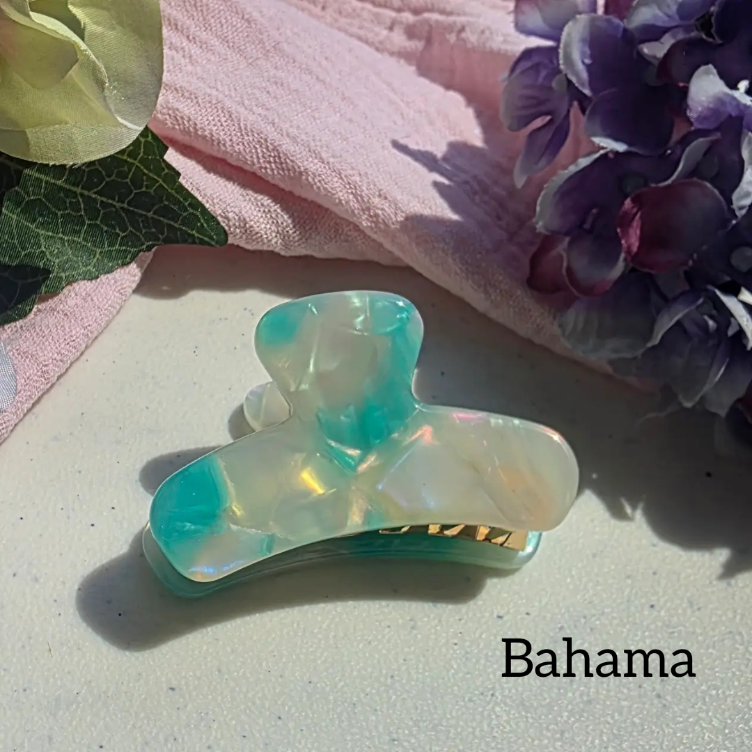 Mini French Claw Clips