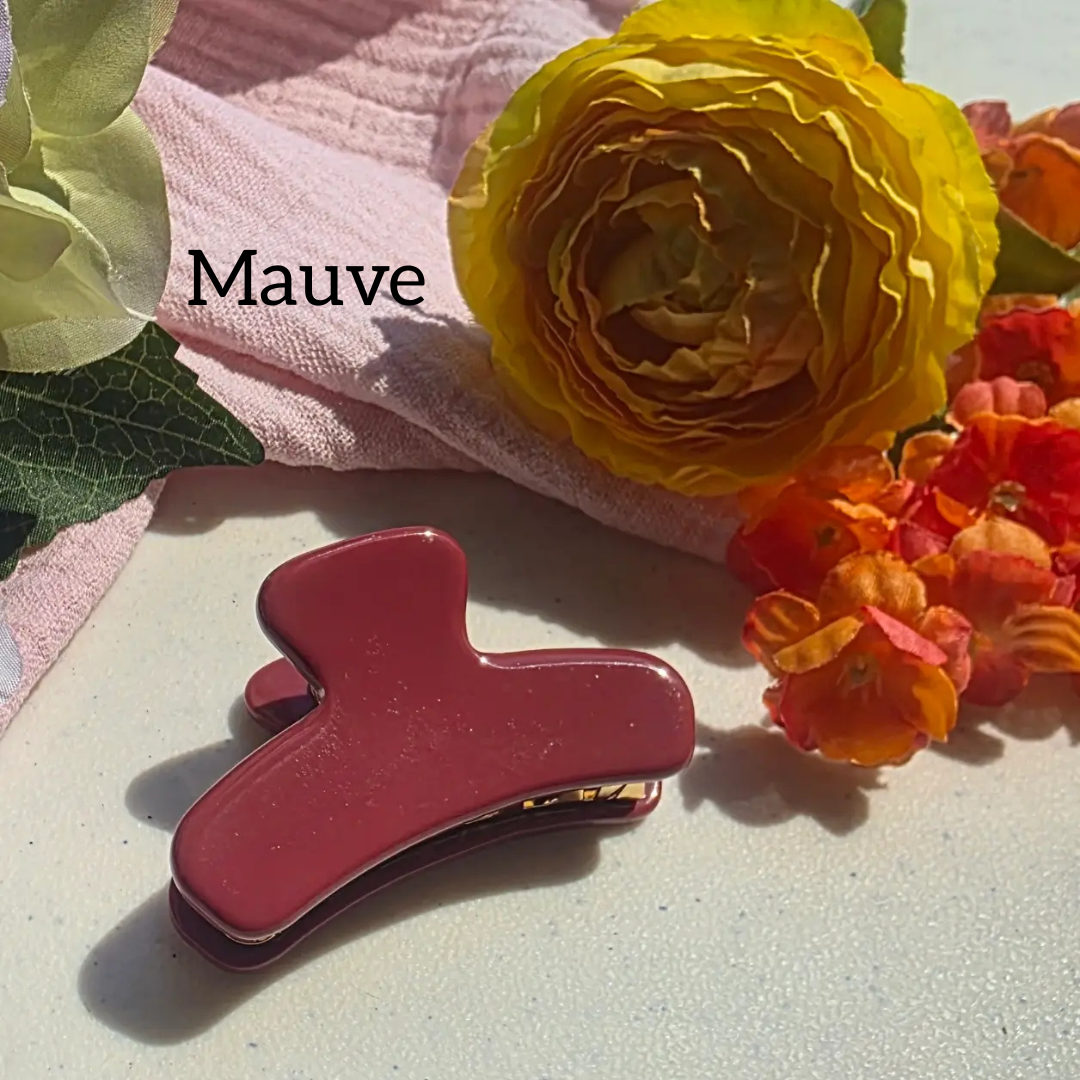 Mini French Claw Clips