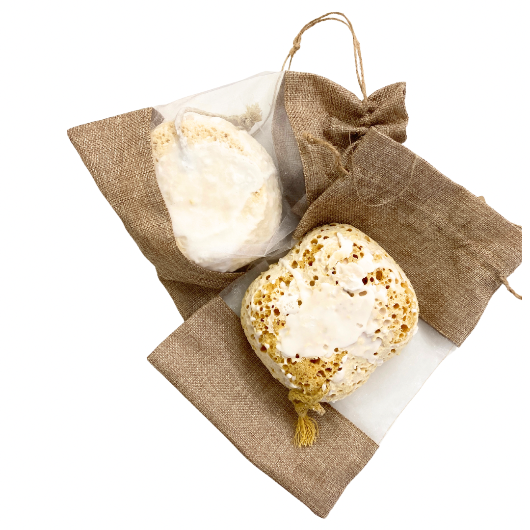 Pampas Sponge, large