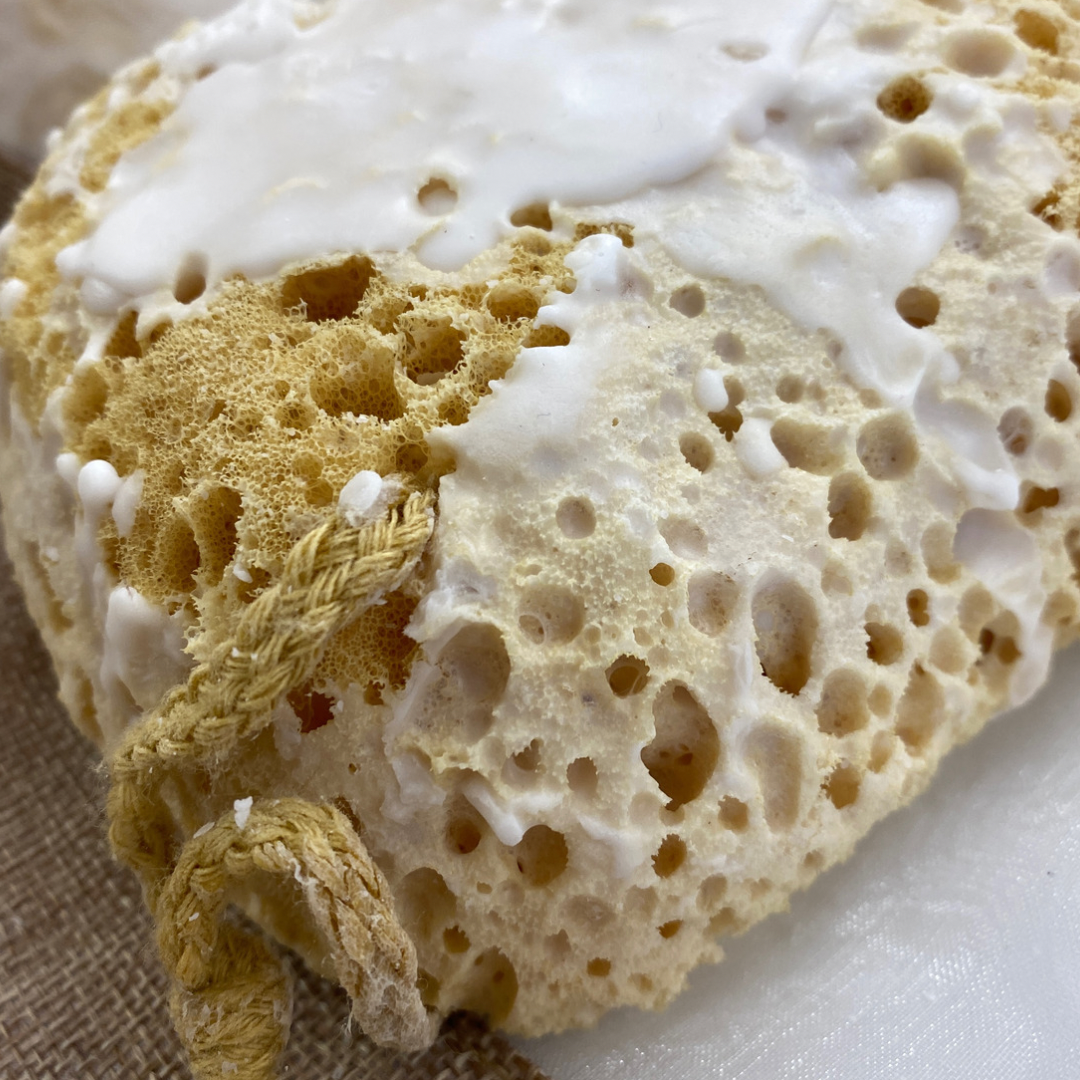 Pampas Sponge, large