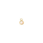 MISCELLANEOUS Charm Collection