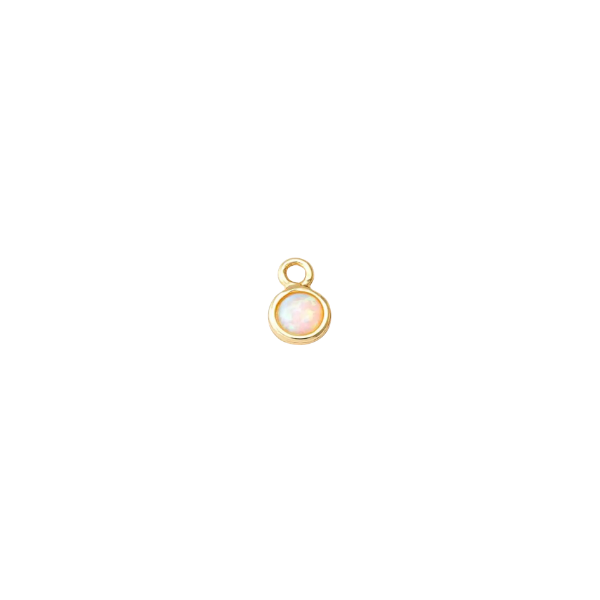MISCELLANEOUS Charm Collection