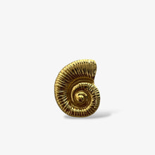 Antique Gold Large Charms
