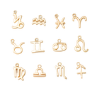 Mini Zodiac Sign Charm Collection