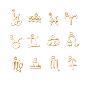 Mini Zodiac Sign Charm Collection