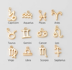 Mini Zodiac Sign Charm Collection