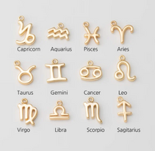 Mini Zodiac Sign Charm Collection