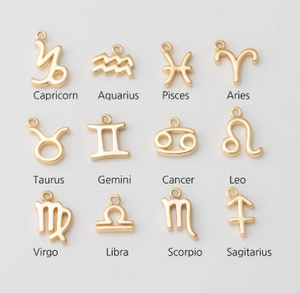 Mini Zodiac Sign Charm Collection