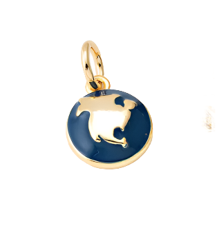 TRAVEL Charm Collection