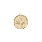 Zodiac Coin Charm Collection