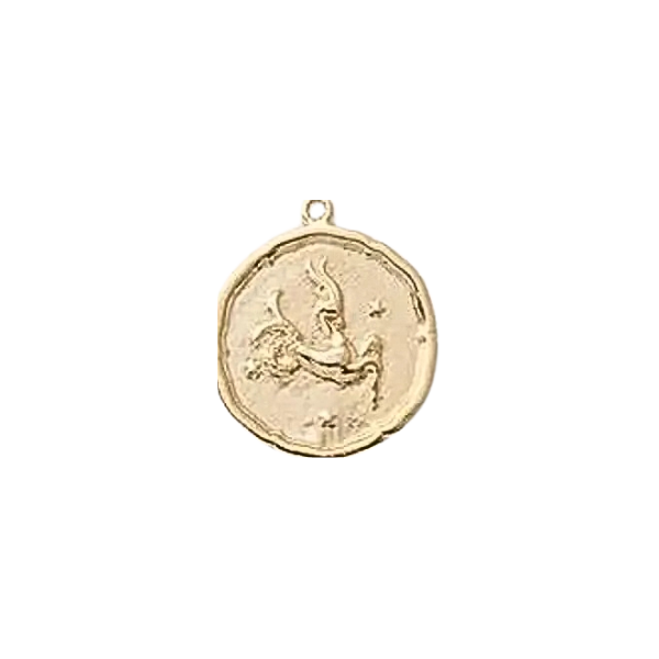 Zodiac Coin Charm Collection
