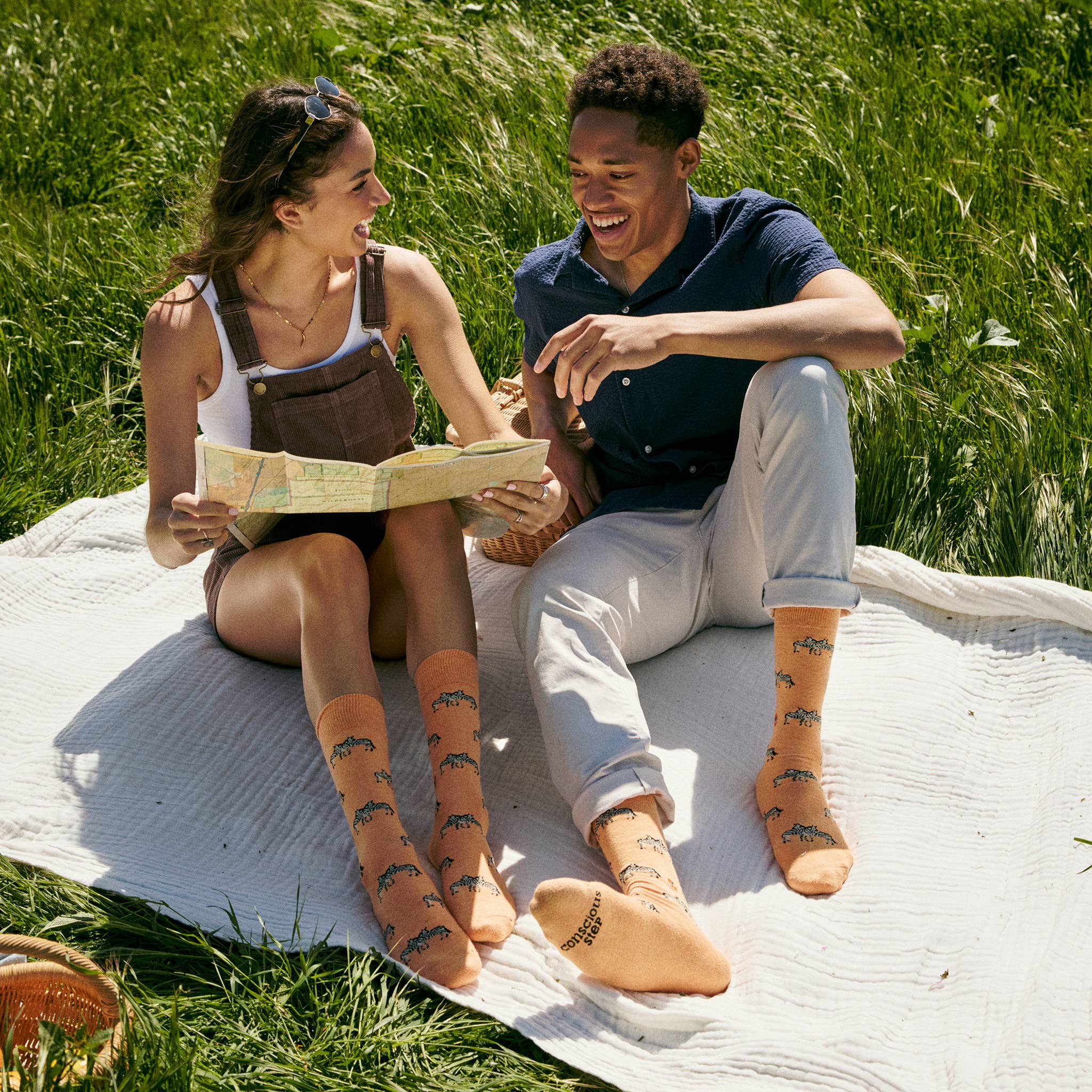 Socks that Protect Zebras (Orange Zebras)