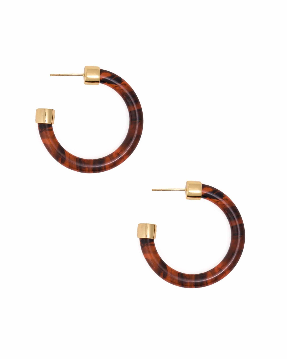 Winona Resin Hoop Earrings