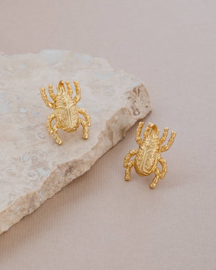 Gold Beetle Stud Earrings