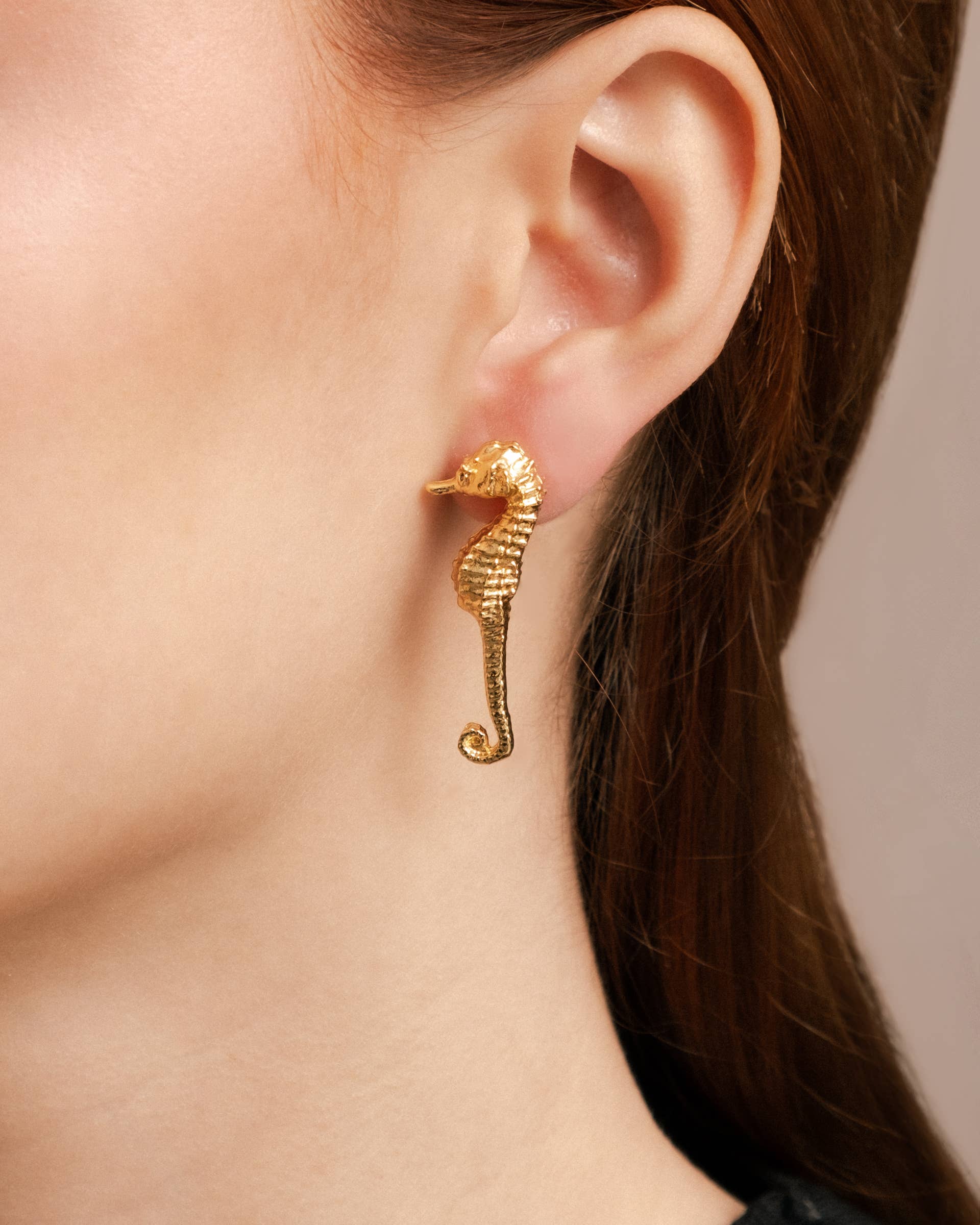 Gold Seahorse Stud Earrings