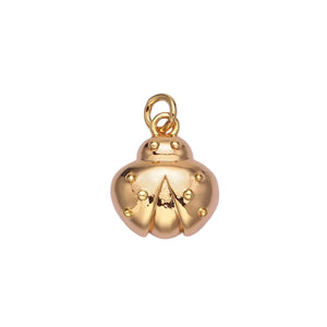 Gold Filled Charms