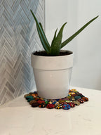 Bottle Cap Trivet